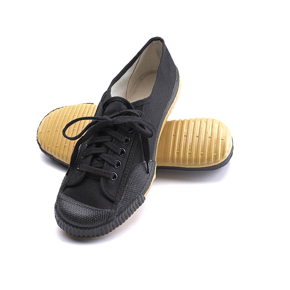 kung fu shoe